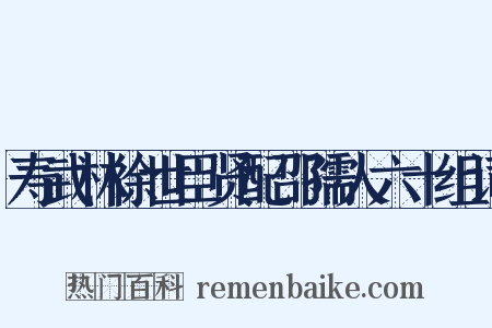 寿武林徐世臣贤配邵孺人六十组词是什么意思的图片